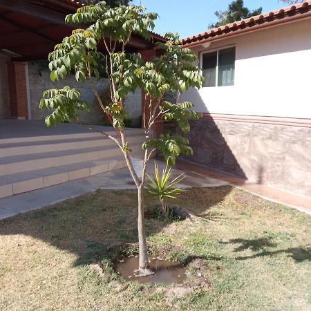 Quinta Los Arcos Villa Celaya  Eksteriør bilde
