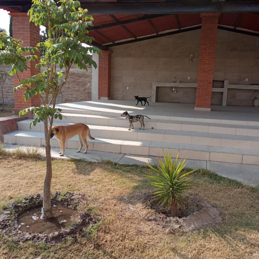 Quinta Los Arcos Villa Celaya  Eksteriør bilde